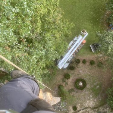 Ariel view of a guy completing tree removal services in Leland, NC