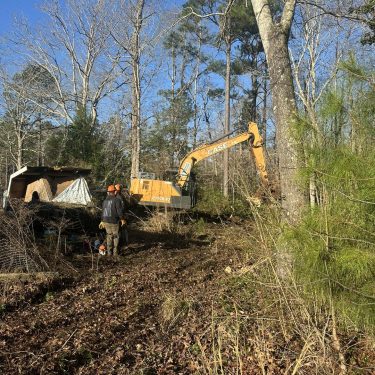 Forestry mulching services being completed by a professional tree care company in Leland, NC