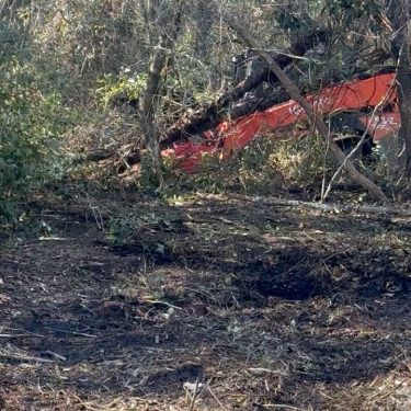 Heavy equipment clearing brush local ArborCare Tree Management