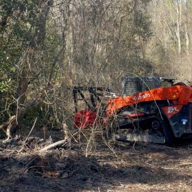 Heavy equipment clearing trees local ArborCare Tree Management