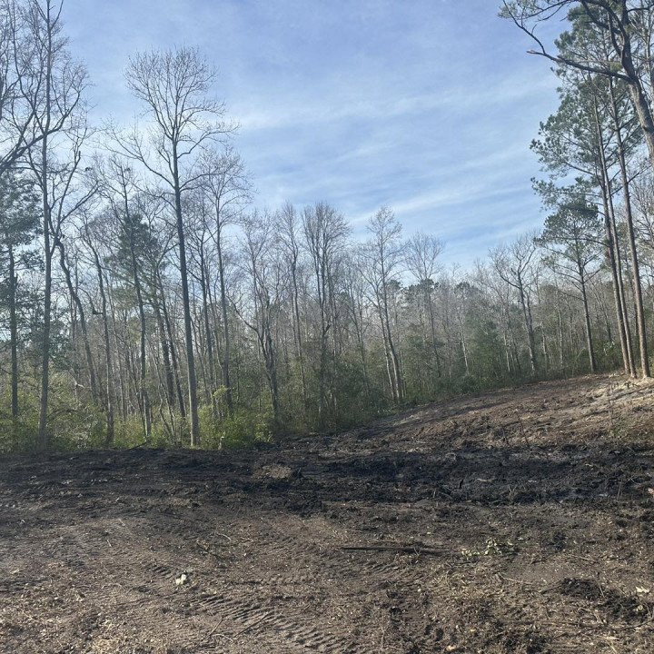Land clearing after pic done by ArborCare Tree Management in NC