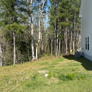 Land clearing before pic by ArborCare Tree Management 2
