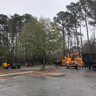 Mulching services about to be performed by a local tree care company in Leland, NC