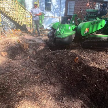 Stump grinding service being completed by a local tree care company in Leland, NC