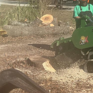 Stump grinding services being completed by a tree care company in Leland, NC.